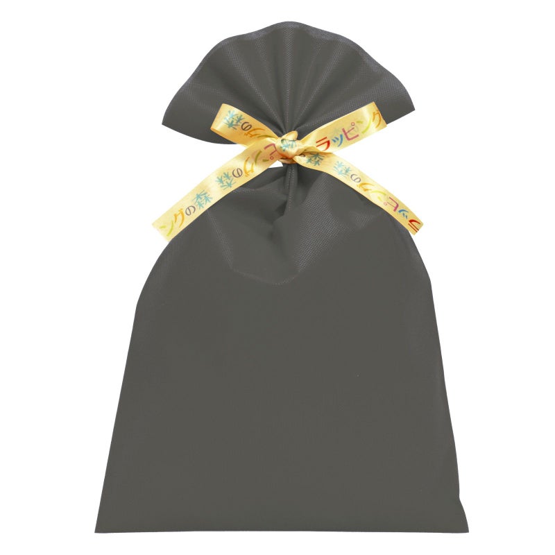 ラッピング｜【リボン名入れ】ソフトバッグ2穴リボン（S6）｜厚手｜不織布包装袋｜100枚入