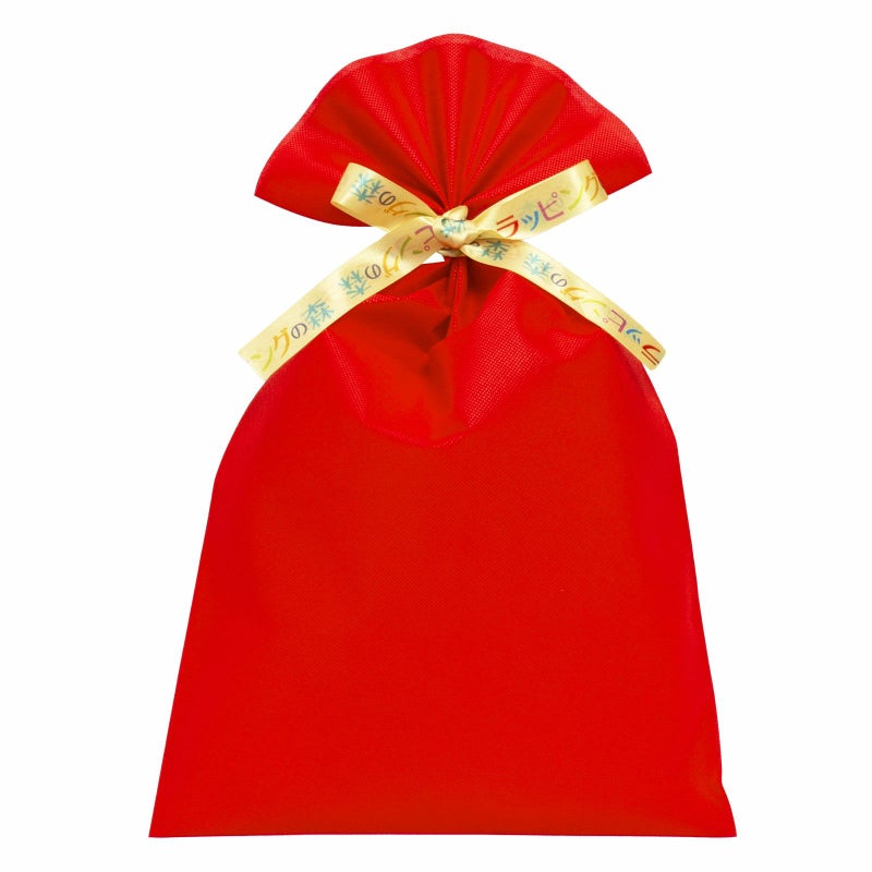 ラッピング｜【リボン名入れ】ソフトバッグ2穴リボン（S6）｜厚手｜不織布包装袋｜100枚入