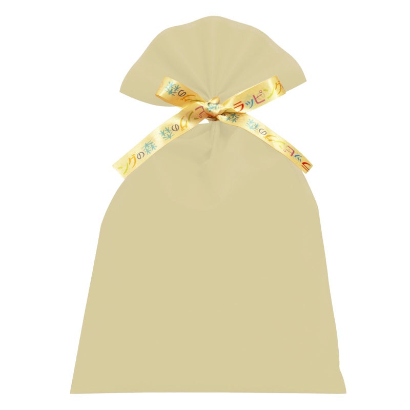 ラッピング｜【リボン名入れ】ソフトバッグ2穴リボン（S6）｜厚手｜不織布包装袋｜100枚入