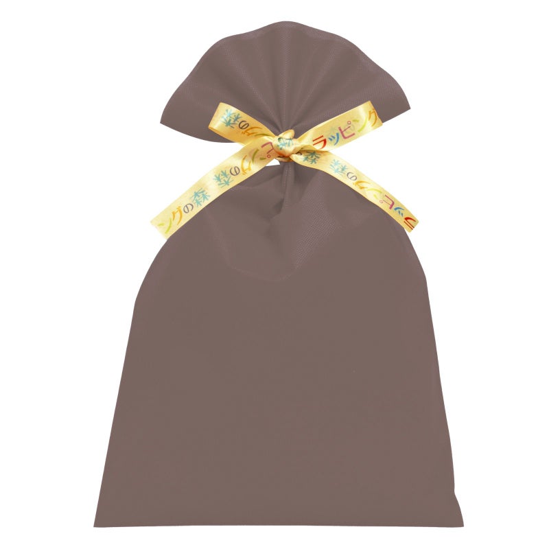 ラッピング｜【リボン名入れ】ソフトバッグ2穴リボン（S6）｜厚手｜不織布包装袋｜100枚入