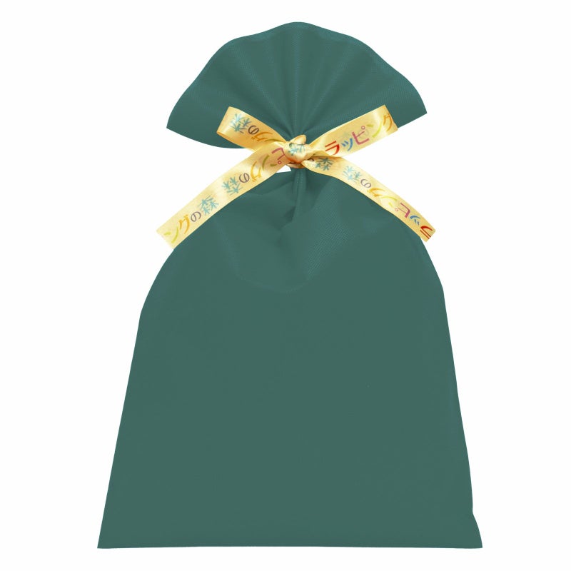 ラッピング｜【リボン名入れ】ソフトバッグ2穴リボン（S6）｜厚手｜不織布包装袋｜100枚入