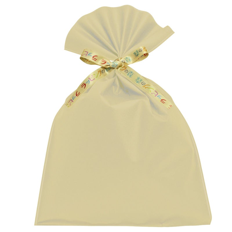 ラッピング｜【リボン名入れ】ソフトバッグ2穴リボン（S7）｜厚手｜不織布包装袋｜100枚入