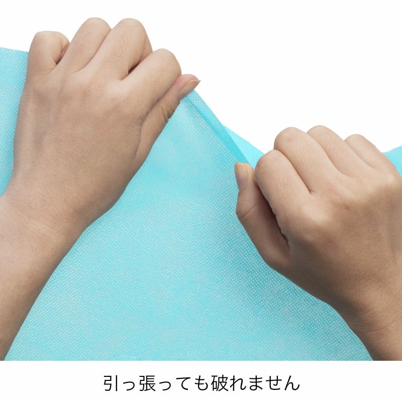 不織布バッグ｜【名入れ対応】ラミ不織布バッグ　マチ無《小判抜き》　A4サイズ｜100枚入