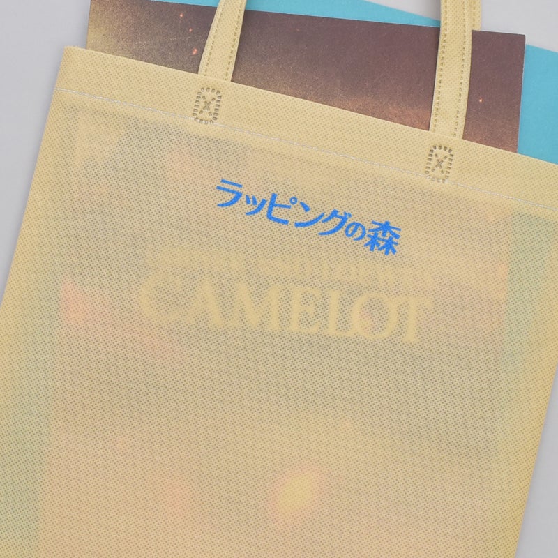 不織布バッグ｜【名入れ／リピーター専用】不織布スクエアトート　厚手《100g》　A4縦サイズ｜ 100枚入